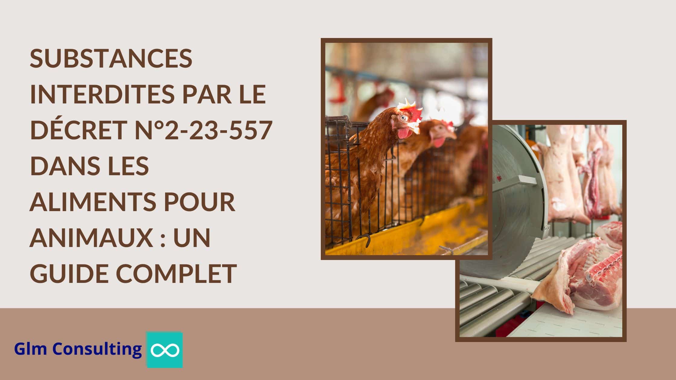 Substances interdites par le Décret n°2-23-557 dans les aliments pour animaux